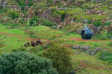 Fototapeten Naturpark WATUSI, Cable Car - Teleférico, Cabárceno Natural Park, Penagos, Pisueña Valley, Cantabria, Spain, Europe  © JUAN CARLOS MUNOZ