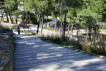 footpath in the park