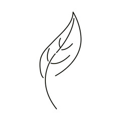leaves line icon style, natural leaf design