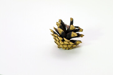 Golden Christmas cones on a white background