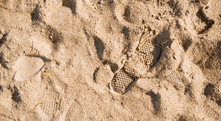 trail from shoe crosing on yellow wet beach sand