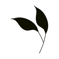 leaves silhouette icon style, foliage nature ecology