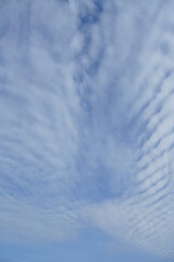 Cirrocumulus floccus, lebhaftes Wolken Bild mit blau und weiß in enger Abfolge