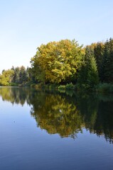 Herbststimmung am See - Baum mit buntem Laub spiegelt sich im Wasser
