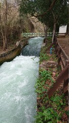 Wasserfall im national park tel dan