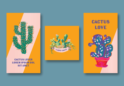 Cactus Illustration Social Posts