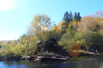 Canadian marshes and rivers