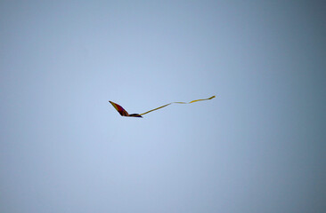 Kite flying