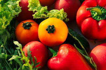 Background from juicy ripe and tasty vegetables. Yellow and red tomatoes, red bell peppers, arugula, lettuce, cucumbers.