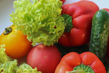 Background from juicy ripe and tasty vegetables. Yellow and red tomatoes, red bell peppers, arugula, lettuce, cucumbers.