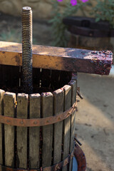 Winepress with red must and helical screw. Production of traditional Italian wines, crushing of grapes.