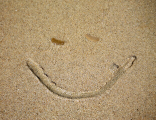 Fototapeta na wymiar Smile in the sand