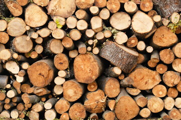 Stack of firewood.  Woodpile background