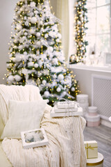 gift box near decorated christmas tree in living room