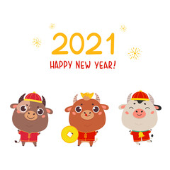 Christmas design template with oxen in traditional costume.Cute bulls with gold money.New year design of poster, card, headers website and sale concept.Vector cartoon illustration on white background.