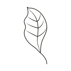 leaves line icon style, leaf natural ecology