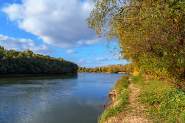 autumn landscape, bright colorful forest at sunny day, trees near river and blue sky