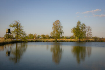 Ambona myśliwska i drzewa oraz ich odbicie w tafli wody