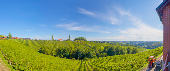 Vineyards along South Styrian Wine Road, a charming region on the border between Austria and...