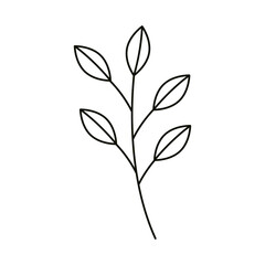 leaves line icon style, branch leaves nature