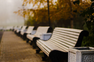 bench in the park