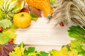 Leaf autumn. Natural harvest with rye spike orange pumpkin, fall dried leaves, red berries and acorns, chestnuts on wooden background. Beauty bright autumnal nature background. Harvest.