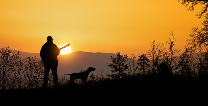Hunting silhouette at dawn with dog