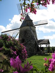 Moulin de Bezard, Marie-Galante  © vouvraysan
