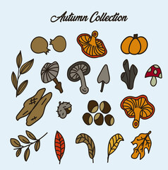 Pack vector illustrations of autumn, pumpkin, mushrooms and dry leaves