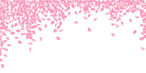 Sakura petals falling down. Romantic pink bright m