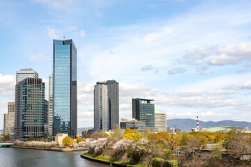 Fototapeta premium Full blooming of cherry blossoms along Okawa river in Osaka