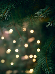 Fototapeta na wymiar Green Christmas tree branch and yellow lights garlands blurred in bokeh