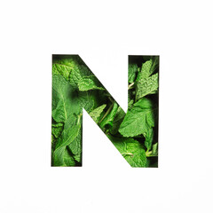 Letter N of English alphabet of green mint natural leaf and cut paper isolated on white. Peppermint leaves font