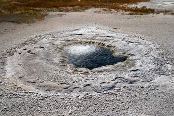 Beach Spring, a hot spring thermal feature in the Upper Geyser Basin in Yellowstone National Park