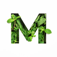 Letter M of English alphabet of green mint natural leafs and cut paper isolated on white. Leaves...