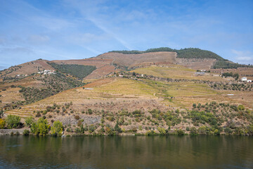 Fototapeta premium Autumn in Douro Valley, Portugal