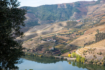 Autumn in Douro Valley, Portugal