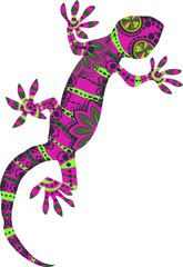 gecko graphic design vector illustration