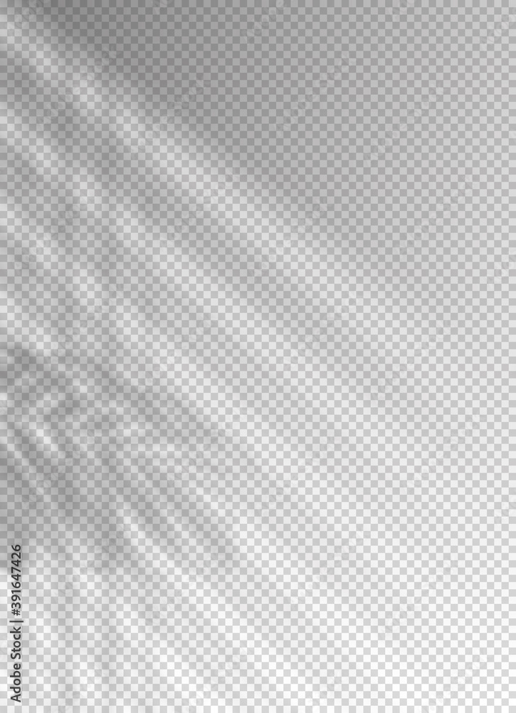 Poster shadow blinds. light from window. overlay effect. shade jalousie transparent. isolated background. l