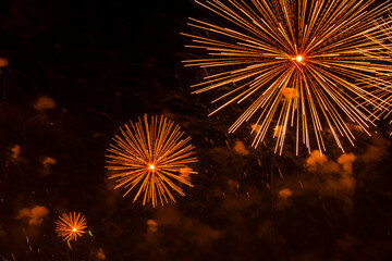 Fireworks bursting, low angle view of colorful firework exploding in dark sky