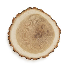 Isolated slice of tree on white background for scene creator