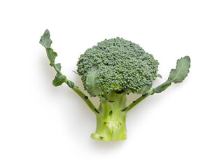 Isolated broccoli on white background for scene creator