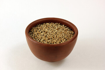 wheat