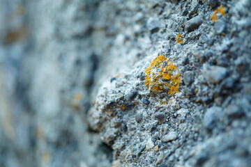 Abstract macro photography with selective focus of stone wall