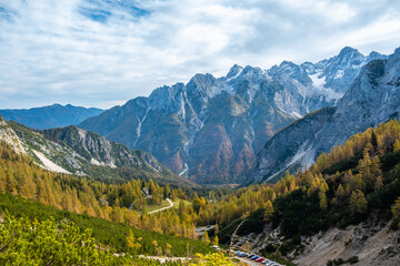 beautiful panoramic mountain scenery in the Julian Alps with colorful yellow and green spruce trees and larches on a mountain ridge on a sunny day in autumn with blue skies