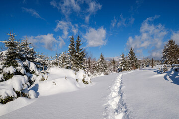 Winter remote alpine mountain village outskirts, countryside hills, groves and farmlands