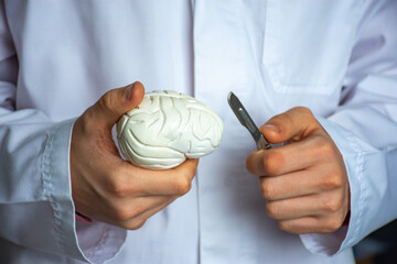 Concept of brain surgery or neurosurgery. Neurosurgeon holding scalpel in hand over 3D anatomical...