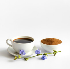 Chicory drink, powder and blue flowers isolated on a white background. A natural alternative to coffee.