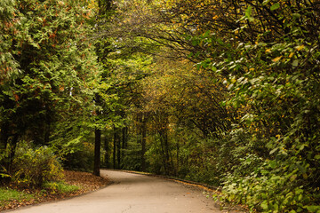 Beautiful view of park with trees on autumn day