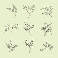 leaves line icons set style, branches foliage nature decoration